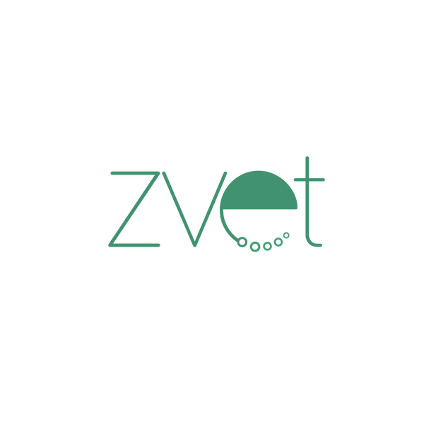 ZVET Jewelry